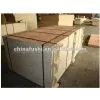 18mm Packing Plywood (good Quality and Lowest Price) thumbnail-1