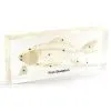 Qianfan Fish Skeleton Plastomount thumbnail-1