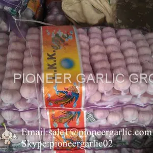 Best Quality 5.5cm Purple Garlic Packed In Mesh Bag thumbnail-5