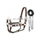 Designer Throat Halter With Chain Lead thumbnail-1