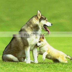 3D Stereo Photographic System for Lenticular Picture thumbnail-2