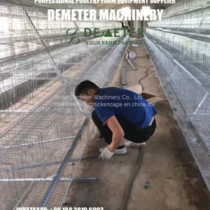 Chicken Cage Poultry Cage thumbnail-5