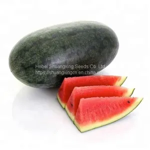Early Maturity Red Flesh Hybrid f1 Watermelon Seeds thumbnail-2