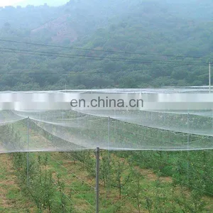 Anti Insect Net 5 Years Usage 20X10 Mesh Anti Aphid Net Greenhouse 50mesh Anti Insect Proof Net thumbnail-1