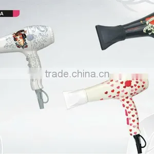 2000W Professional Hair Dryer for Salon thumbnail-1