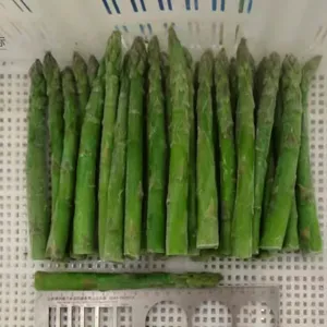 Frozen Asparagus thumbnail-2