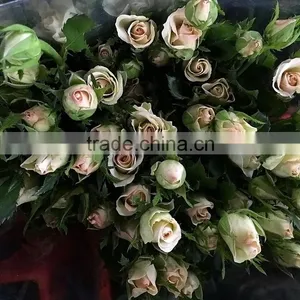 New OEM Fresh Rose Flower thumbnail-2
