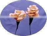 Dried Decoration Flower thumbnail-1