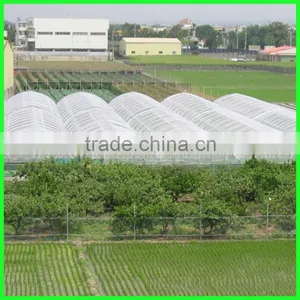 Suntex Virgin HDPE Anti-insect Nets/fruit Vegetable Netting thumbnail-3