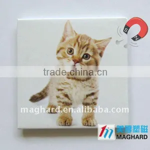 Iron Fridge Tin Magnet Tourist Souvenir Cat thumbnail-1