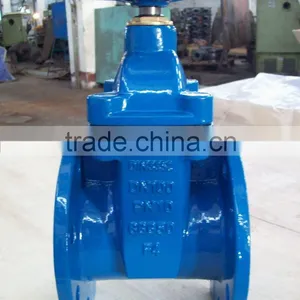 Resilient Gate Valve thumbnail-1