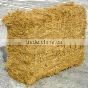 Coco Fiber thumbnail-1