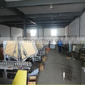 Hot Sale Automatic Bottles Carton Machine High Speed Cartoning Machine thumbnail-6