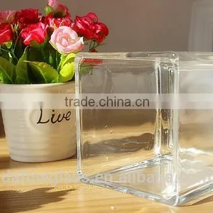 Square Hydroponic Succulent Plants Flowerpot Glass Vase thumbnail-1