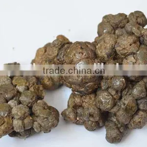 Crude Propolis/propolis Bulk thumbnail-1