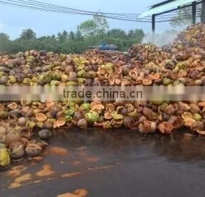 Coconut Fiber _ QQ : 2598494113 FOB : 200$ - 230$ thumbnail-1