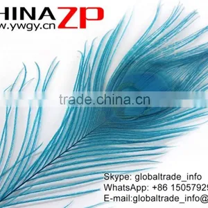 CHINAZP Leading Supplier Wholesale Cheap Full Eye Dyed Turquoise Blue Peacock Tail Feathers for Sale thumbnail-6