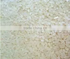 100% Broken Rice thumbnail-1