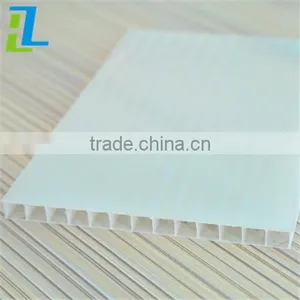 4mm/6mm Translucent Double Skin Polycarbonate Hollow Sheet thumbnail-1