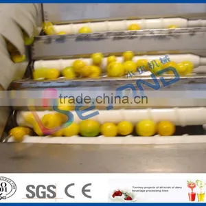 Orange Production Line thumbnail-5