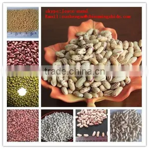 Kidney Beans 2014 New Crop; thumbnail-2