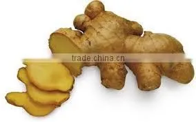Ginger New Crop 2014 From Hoang Kim Vietnam thumbnail-1