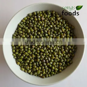 China New Crop Green Bean thumbnail-1