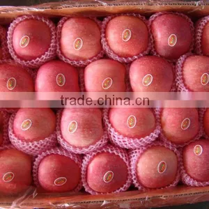 Chinese Hot Sale Fresh Fuji Apple thumbnail-1