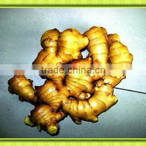 2011 Air-dry Fresh Big Ginger thumbnail-1
