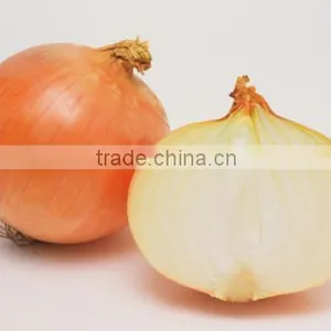 Fresh Onion thumbnail-2