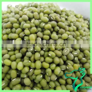 Green Mung Bean/Green Gram/Mung Beans Sprouting thumbnail-6