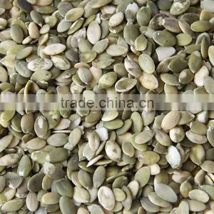 Green Shine Skin Pumpkin Seed Kenel Best Quality With Cheap Price thumbnail-2