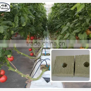 Plant Fiber Material Hydroponic Rock Wool 4X4X4 INCH 6X6X6 INCH thumbnail-4