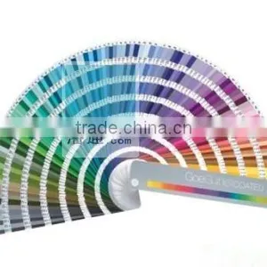 Pantone GoeGuide RGB Value GSGS001 thumbnail-2