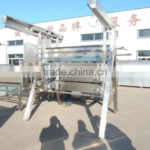 Vertical Plucking Machine for Duck Slaughtering Line for Sale thumbnail-1