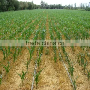 Drip Tape Irrigation for Agricultural and Garden Equipment thumbnail-1