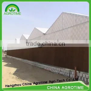 Multi-span Polycarbonate Plastic Sheet Greenhouse for Agriculture thumbnail-2