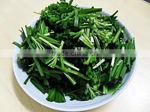 Stainless Steel Industrial Fruit Vegetable Processing Industrial Vegetable Cutter +8618637188608 thumbnail-5