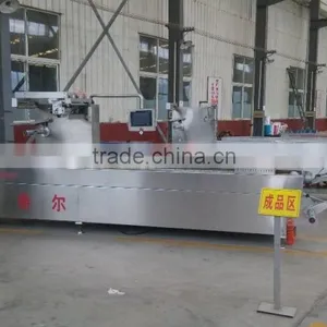 RZ420 Automatic Continuous Vacuum Packing Machine thumbnail-1