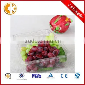 Disposable Fruit Plastic Packaging Container for Blueberry thumbnail-1