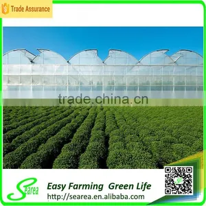 Agricultural Rodent Roof Green House for Flower thumbnail-1