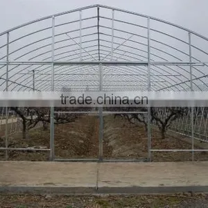 Nursery Greenhouse Film thumbnail-1