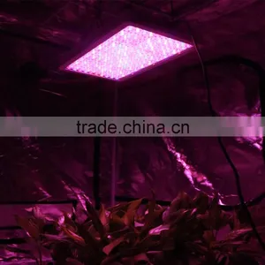 300w/600w/1000w Double Chips LED Grow Light Full Specturm for Greenhouse and Indoor Plant Flowering Growing (5w Leds) thumbnail-6