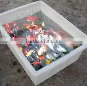 Indoor Aquoponics Hydroponics Fishing Tank With Vegetable Planter thumbnail-4