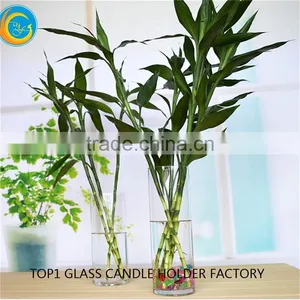 Clear Tall Cylinder Glass Candle Holder thumbnail-5