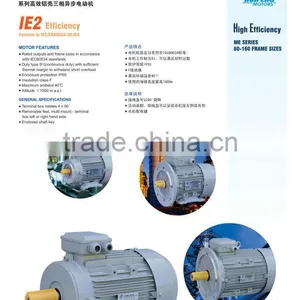 5.5KW Three Phase IE2 Electric Motor With CE thumbnail-1