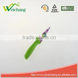 WCK609 5 Pcs Set Kitchen Knives Artwork Painting Blade PP Handle , Hot Sale thumbnail-6