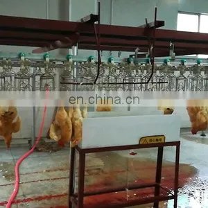 Mini Poultry Slaughter Equipment/duck Slaughter Machine Halal Chicken Slaughter Machine for Sale thumbnail-6