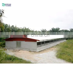 16000 Temporary Poultry Closed System House Shed Chickens House With Fans thumbnail-4