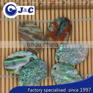 Real Natural Sea Shell for Bags Decoration thumbnail-3